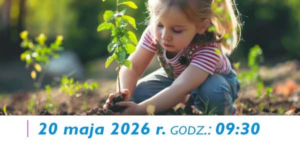 dziecko sadzi roślinki